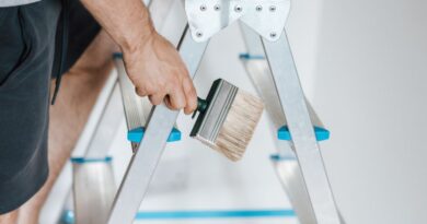 Painters in Ascot Vale