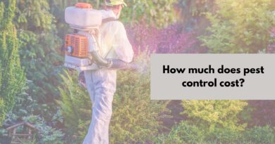 how much does pest control cost