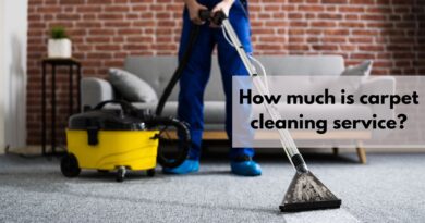 how much is carpet cleaning service