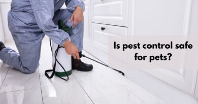 is pest control safe for pets